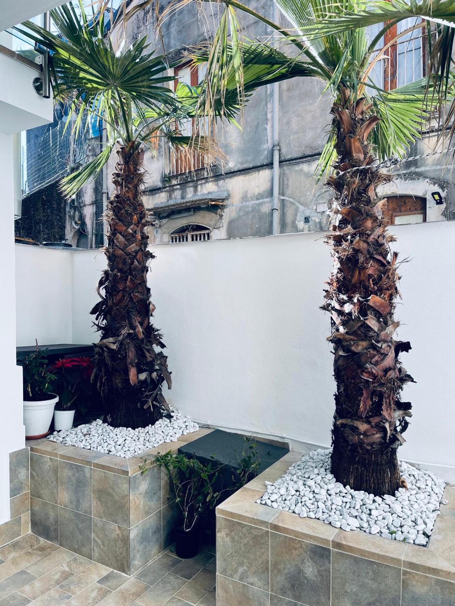 King House Catania Hostel Ostello エクステリア 写真
